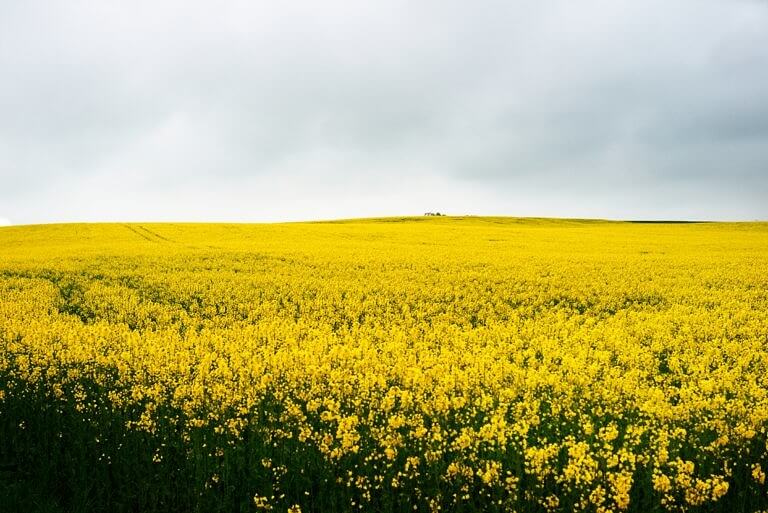 Ikea Photographer Magnus Mårding